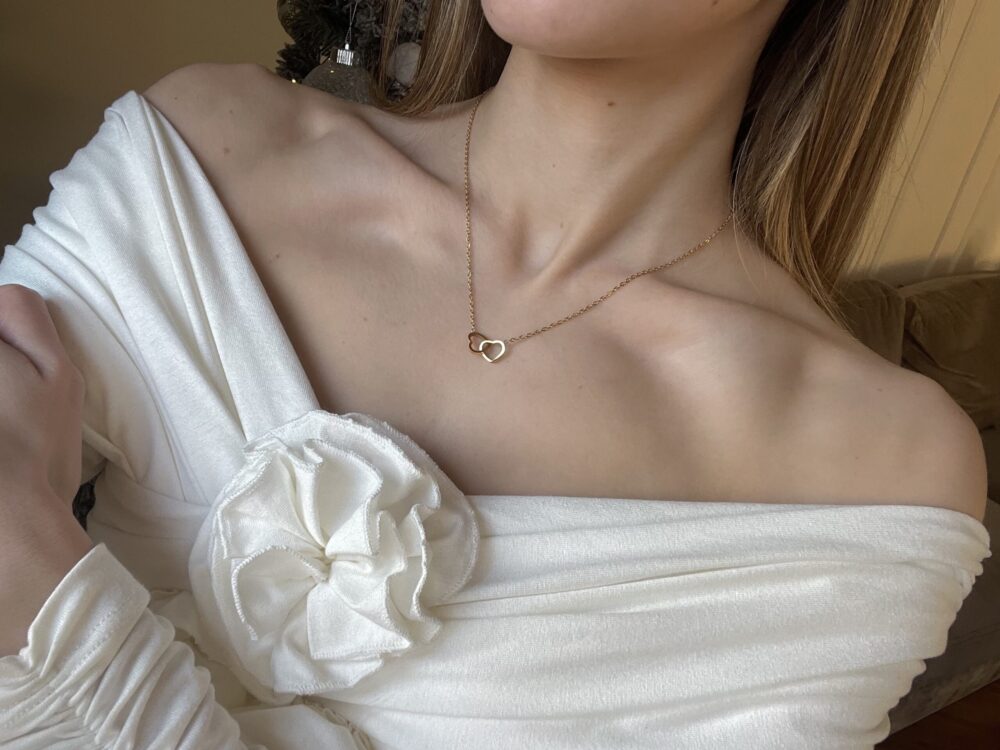 Ogrlica od nerdjajuceg celika – sa dva srca